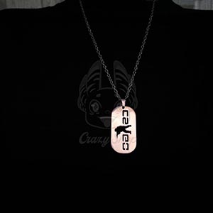 silver necklace